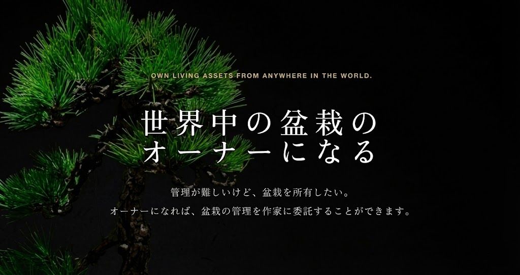 Bonsai Azukari のサイトサムネイル